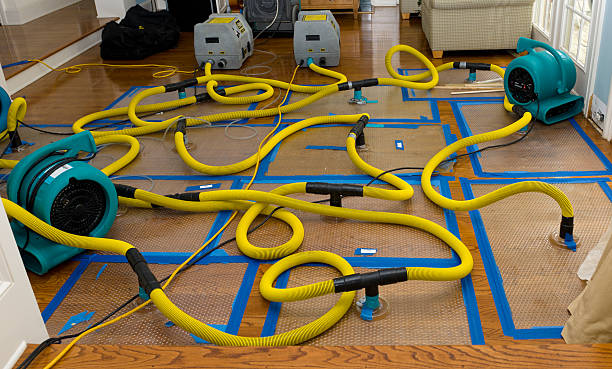 Professional Basement Flood Cleanup technician working in Tarrytown, NY